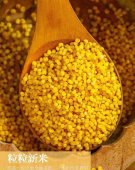 今年新米山西沁州黄小米月子米熬小米粥五斤包邮
